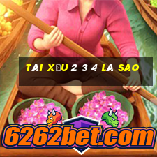 tài xỉu 2 3 4 là sao