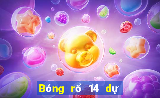 Bóng rổ 14 dự đoán thắng thua