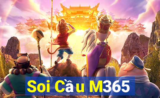 Soi Cầu M365