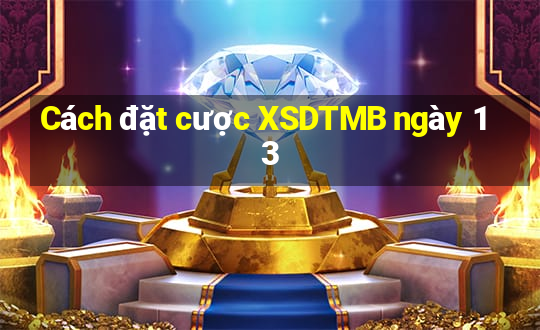 Cách đặt cược XSDTMB ngày 13