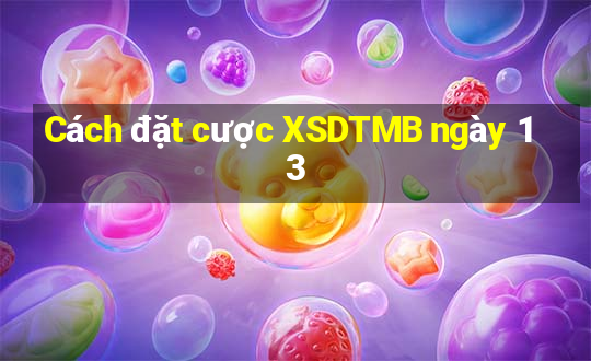 Cách đặt cược XSDTMB ngày 13