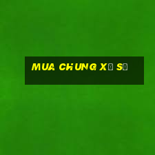 Mua chung xổ số