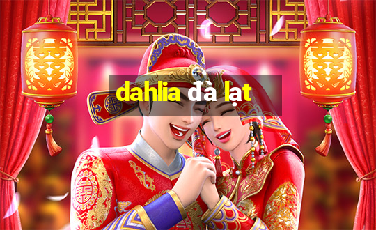 dahlia đà lạt