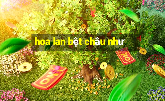 hoa lan bệt châu như