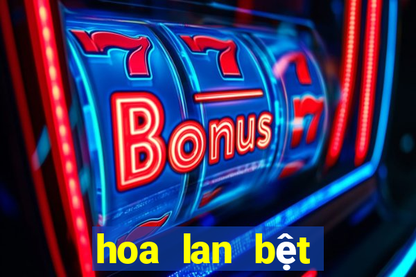 hoa lan bệt châu như