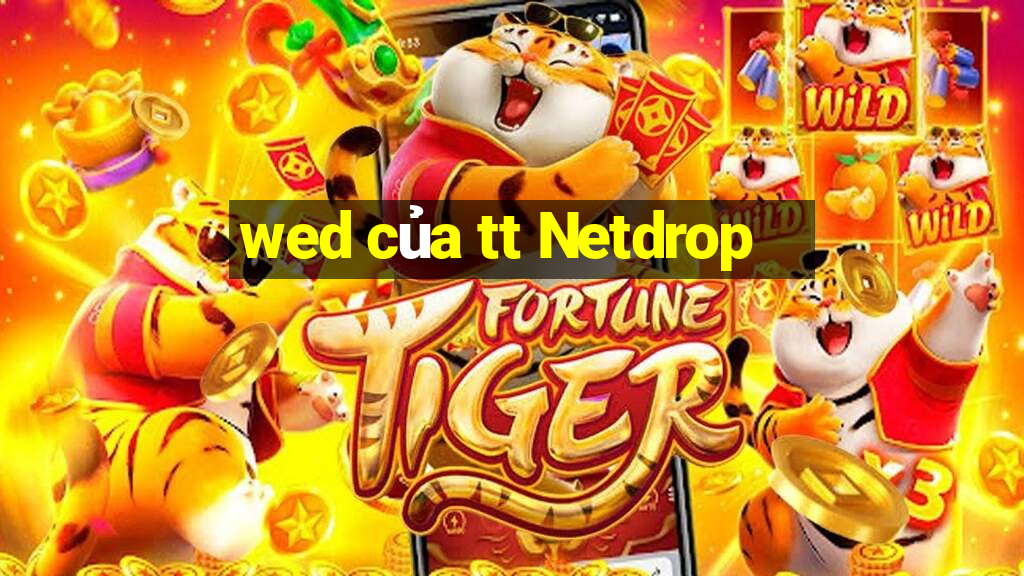 wed của tt Netdrop