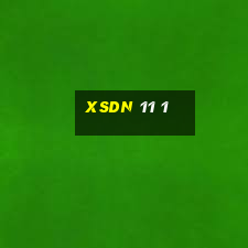 xsdn 11 1