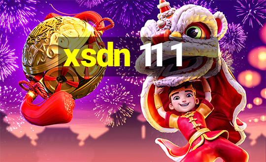 xsdn 11 1