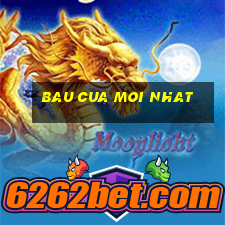 bau cua moi nhat