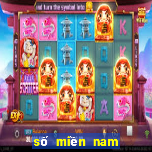 số miền nam đồng nai