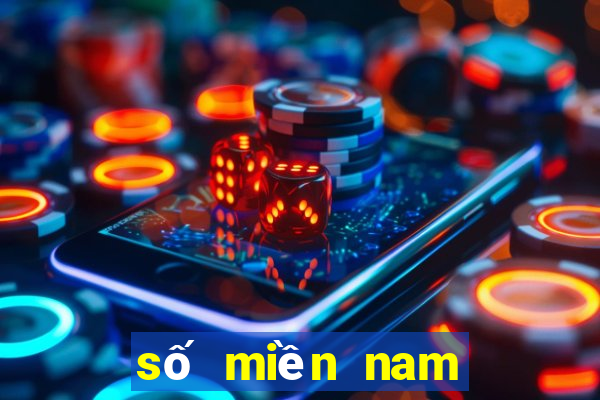 số miền nam đồng nai