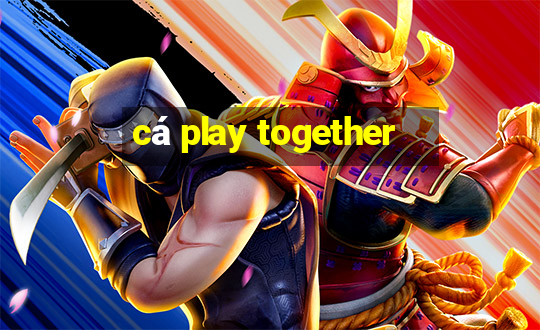 cá play together