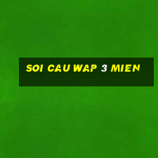 soi cau wap 3 mien