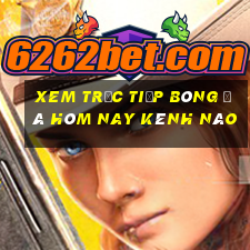 xem trực tiếp bóng đá hôm nay kênh nào