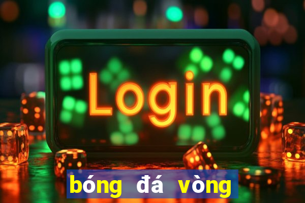 bóng đá vòng loại world cup nam mỹ