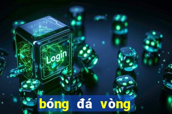 bóng đá vòng loại world cup nam mỹ