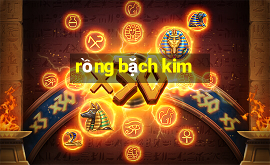 rồng bặch kim