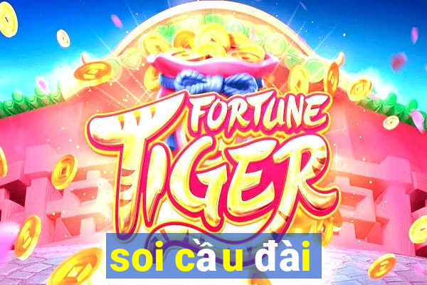 soi cầu đài