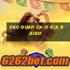 Các quan chức của Baibo