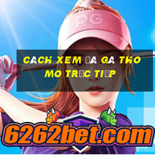 cách xem đá gà thomo trực tiếp