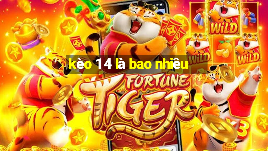 kèo 1 4 là bao nhiêu