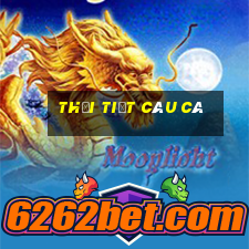 thời tiết câu cá