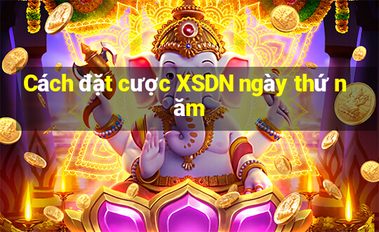 Cách đặt cược XSDN ngày thứ năm