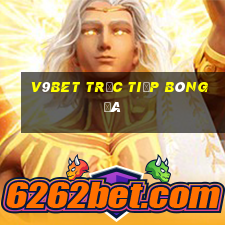 v9bet trực tiếp bóng đá