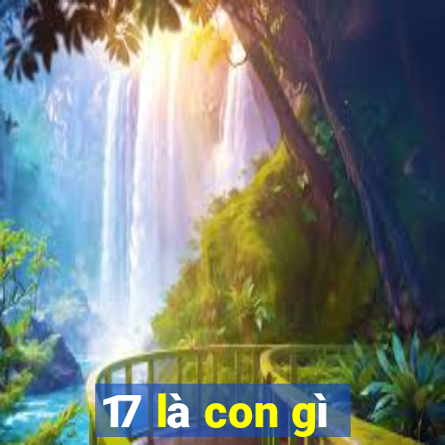 17 là con gì