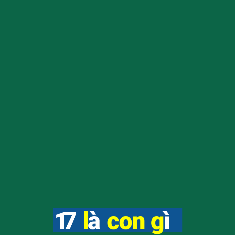 17 là con gì