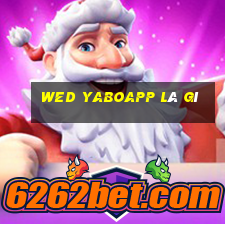 wed yaboapp là gì