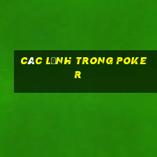 Các lệnh trong poker