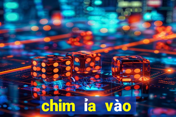 chim ỉa vào người là điềm gì