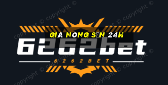 giá nông sản 24h