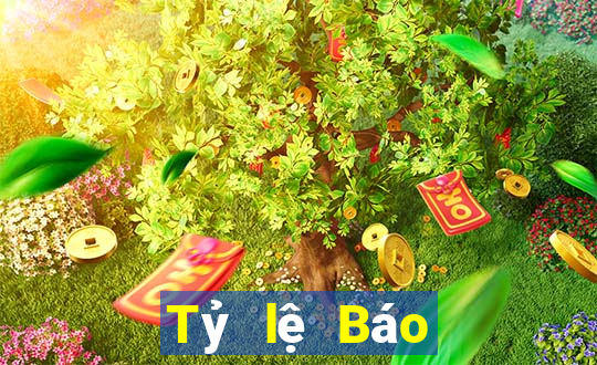 Tỷ lệ Báo bóng đá