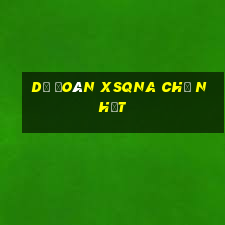 Dự đoán XSQNA Chủ Nhật