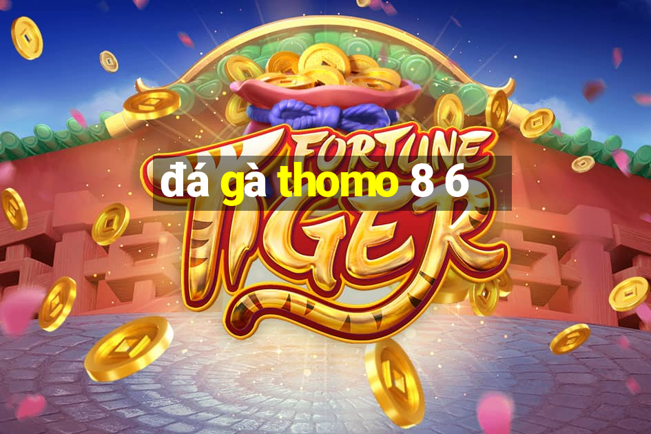 đá gà thomo 8 6