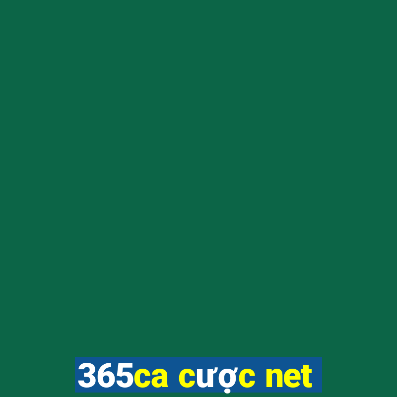 365ca cược net