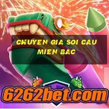 chuyen gia soi cau mien bac