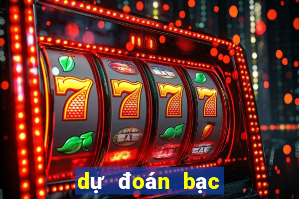 dự đoán bạc liêu chính xác