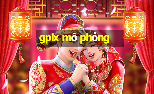 gplx mô phỏng