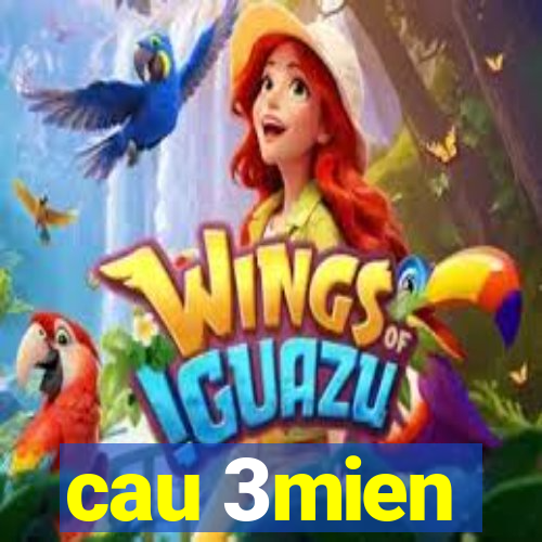 cau 3mien