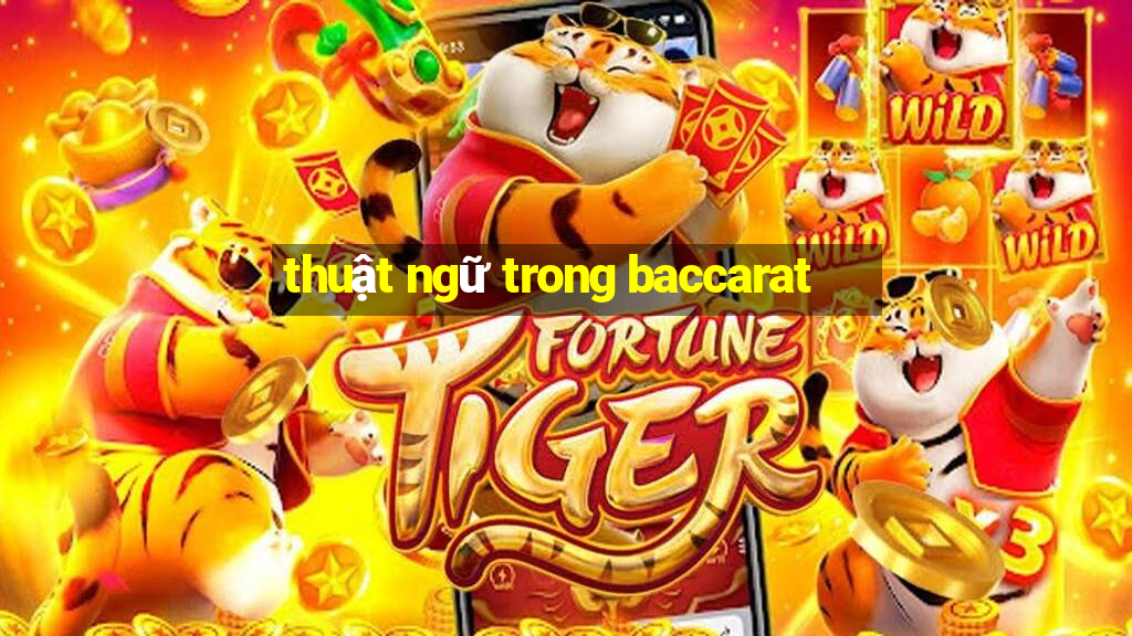 thuật ngữ trong baccarat