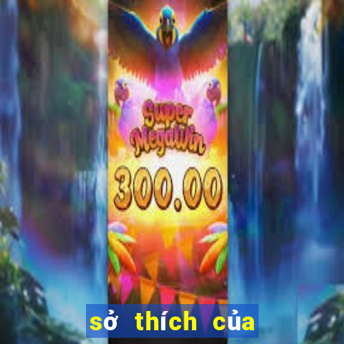 sở thích của sùng ninh