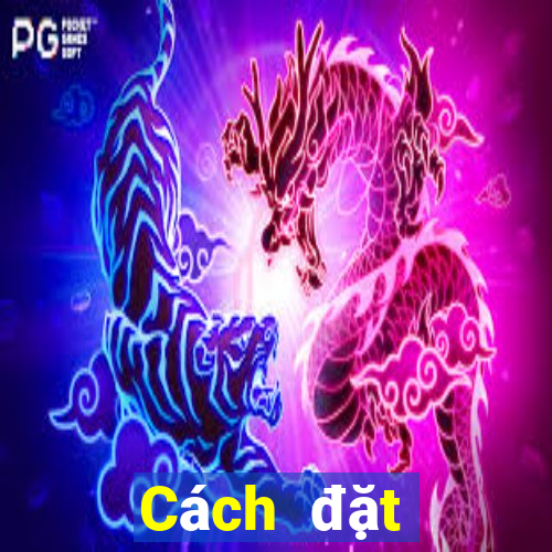 Cách đặt cược XSQT ngày 27