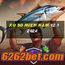 xo so mien nam 12 1 2024