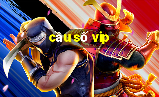 cầu số vip