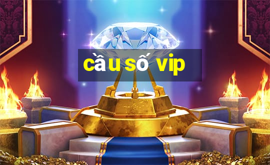 cầu số vip