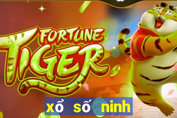 xổ số ninh thuận 12 5