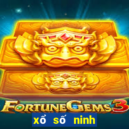 xổ số ninh thuận 12 5